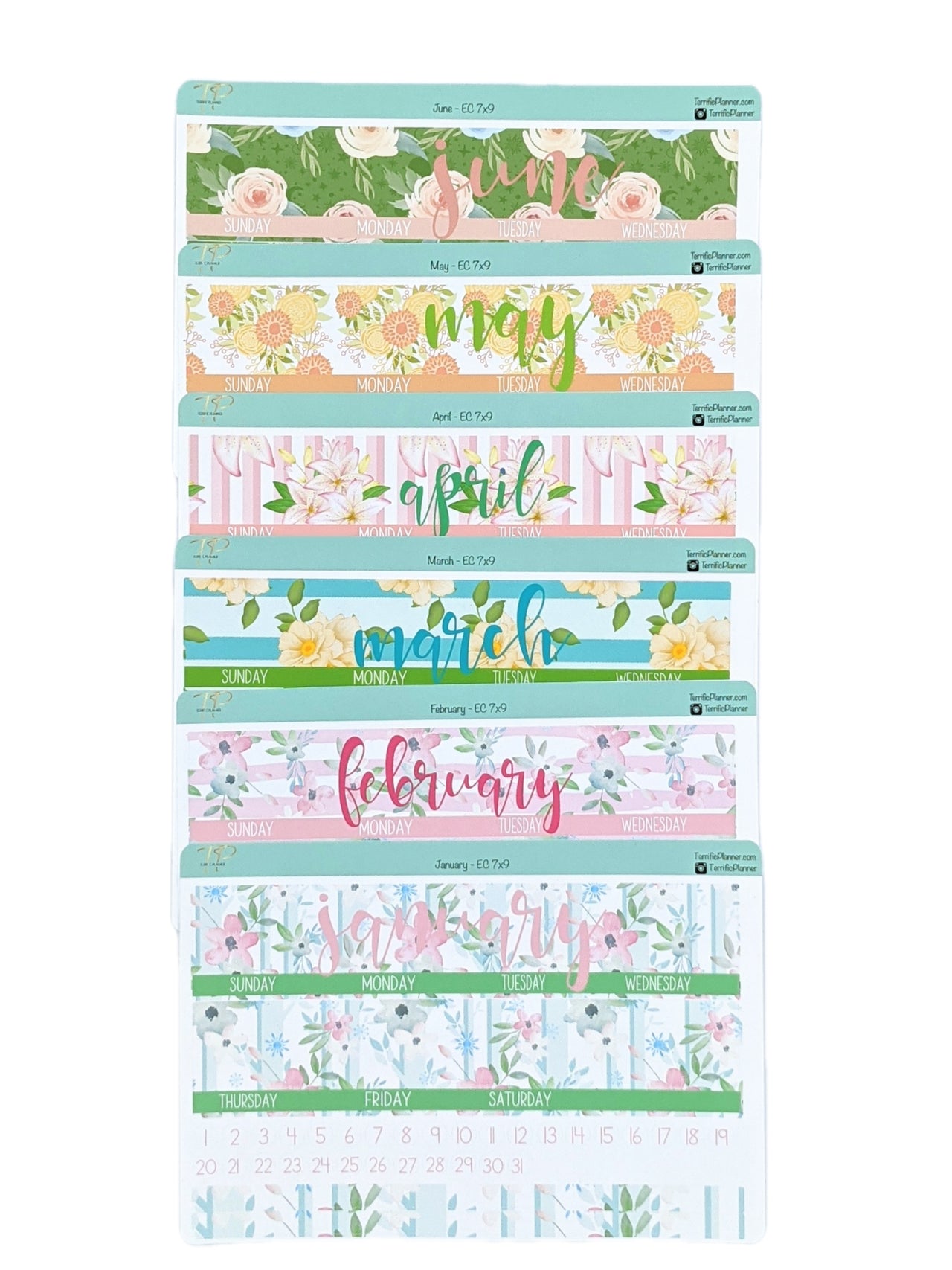 A Year in Bloom - 2022 Monthly Planner Sticker Kit