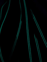 Thumbnail for Black glow in the dark zipper tape size 5